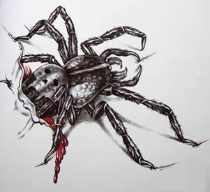 一款欧美蜘蛛纹身图案缩略频道推荐图