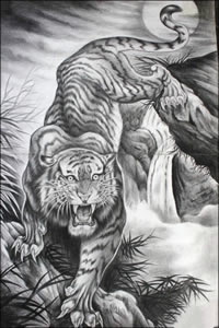 下山虎纹身手稿图案