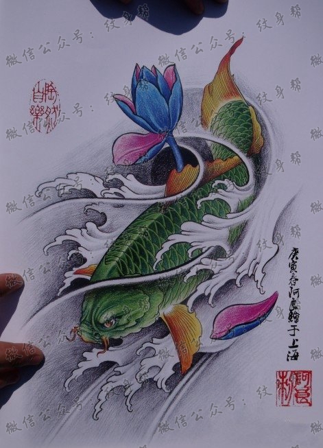 中华锦鲤纹身手稿