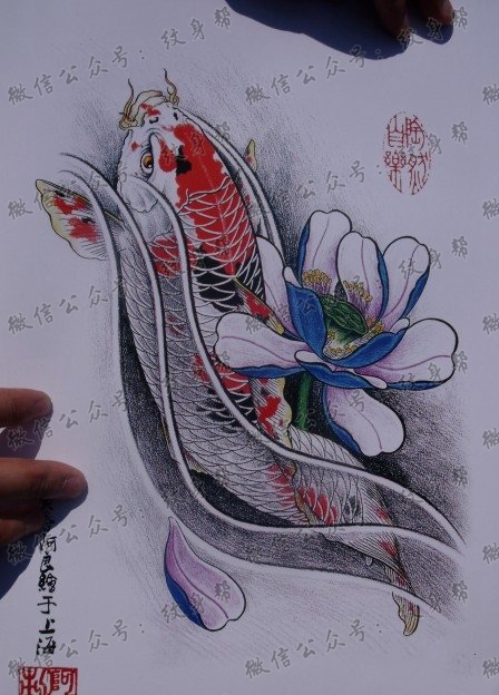 中华锦鲤纹身手稿