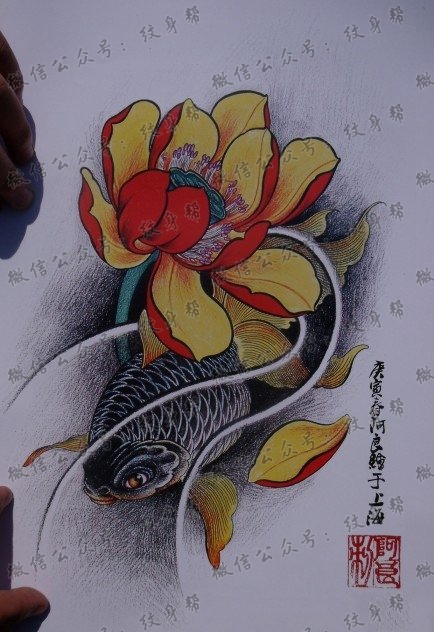 中华锦鲤纹身手稿