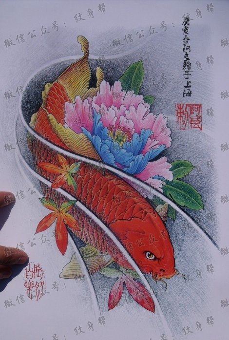 中华锦鲤纹身手稿