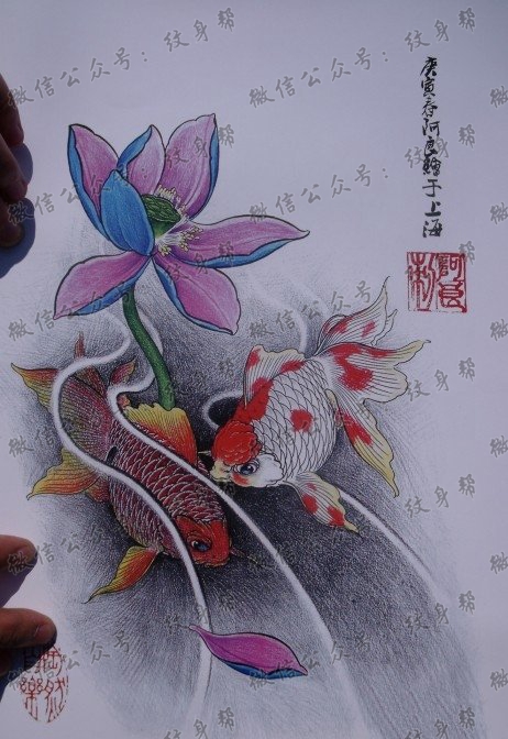 中华锦鲤纹身手稿