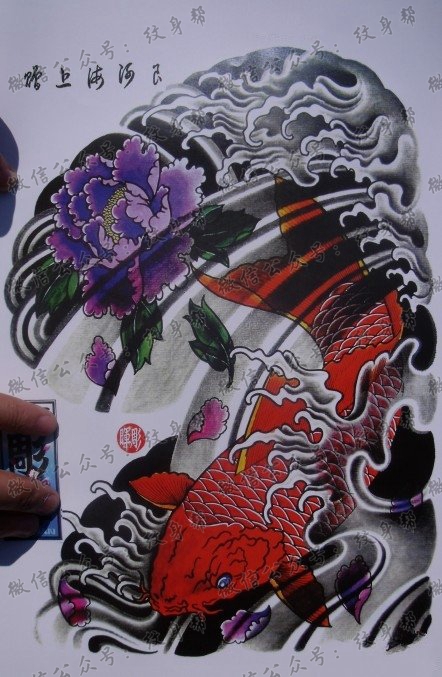 中华锦鲤纹身手稿