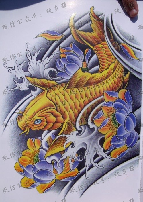 中华锦鲤纹身手稿