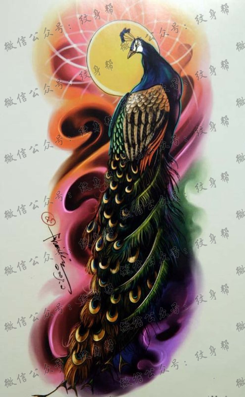 彩色孔雀纹身图案