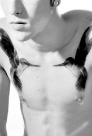 纹身鸟  轻巧可爱的蜂鸟纹身图案