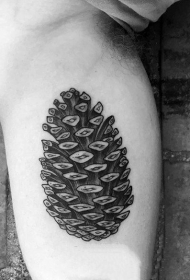 植物纹身   坚硬小巧的松果纹身图案