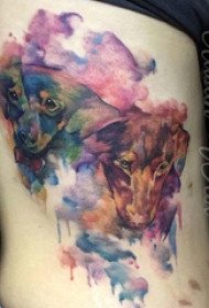 侧腰纹身图 女生侧腰上彩色的小狗纹身图片