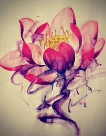 一款彩色莲花纹身手稿图案