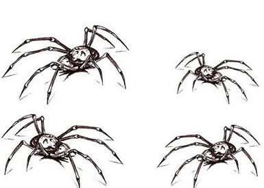 简洁的蜘蛛纹身手稿图案缩略频道推荐图