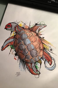 一款乌龟纹身手稿图案