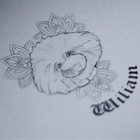 一款可爱的汪星人狗狗手稿图案