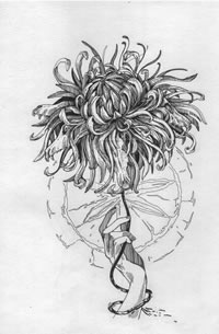 一款线条菊花纹身手稿图案