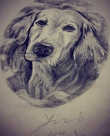 一款黑灰汪星人纹身手稿图案