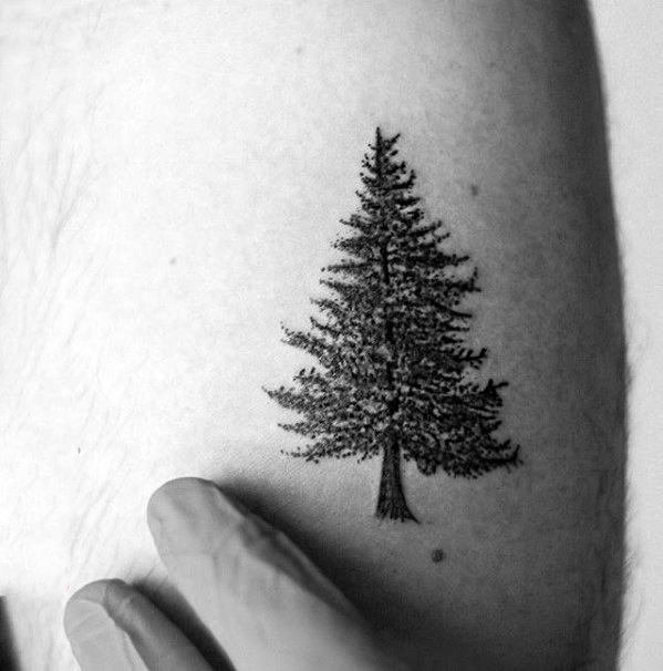 纹身黑色   生命力十足的树木纹身图案