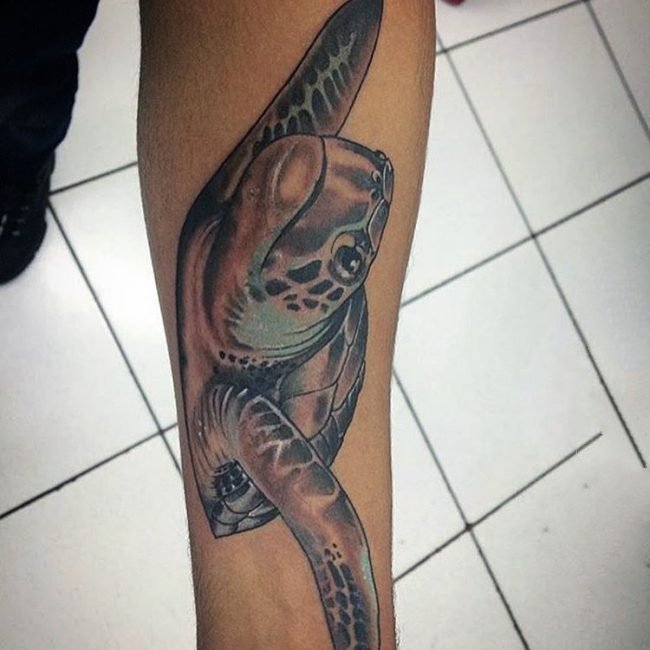 乌龟纹身图案   行动缓慢的乌龟纹身图案