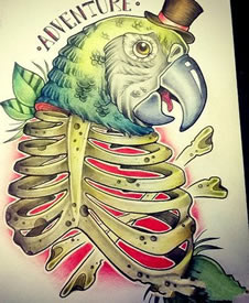 彩色鹦鹉纹身手稿图案