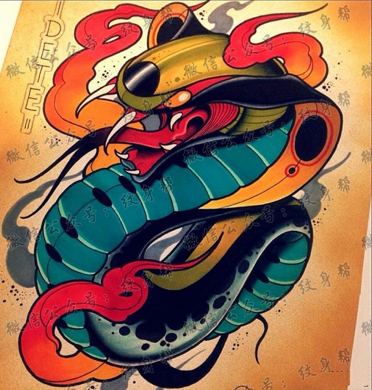 彩色school蛇纹身图案由