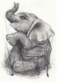 一款灰黑大象纹身图案