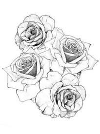 玫瑰花纹身手稿图案