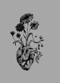 心脏纹身手稿图案