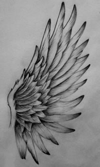 素描翅膀纹身手稿图片