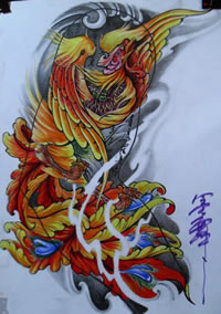 彩色凤凰纹身手稿图案