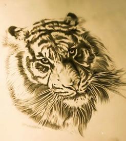 经典老虎头纹身手稿图片