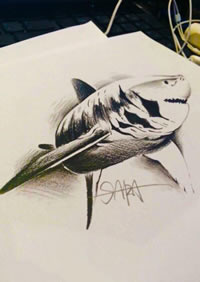 个性鲨鱼纹身手稿图片