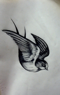 黑灰素描燕子纹身手稿图片