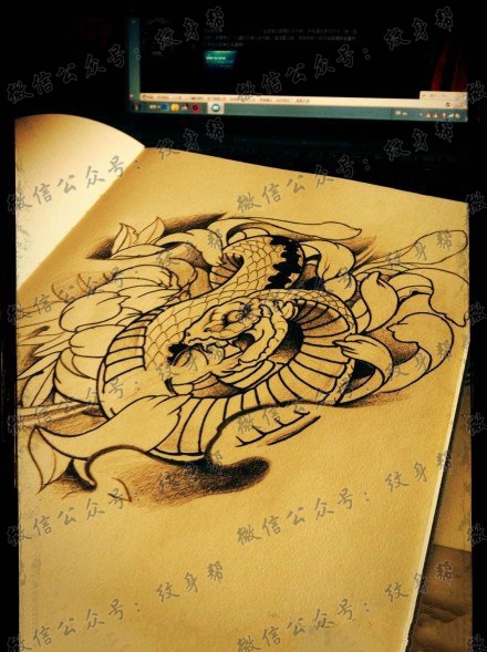 菊花蛇纹身手稿图案