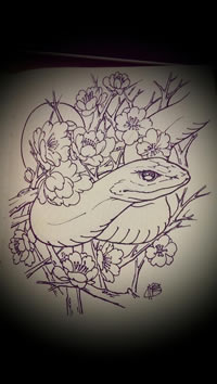 蛇梅花线稿纹身手稿图片