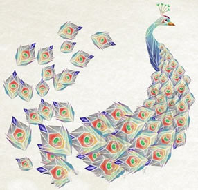 彩色孔雀纹身手稿图片