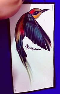 彩色蜂鸟纹身手稿图案