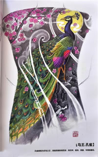 满背新传统孔雀手稿纹身图案