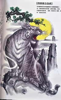 四圣兽之白虎纹身手稿图案