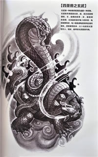 四圣兽之玄武纹身手稿图案