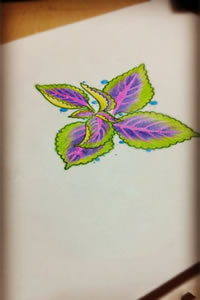 彩色树叶纹身手稿图片