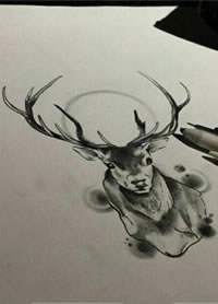 黑灰素描个性羚羊纹身手稿图片