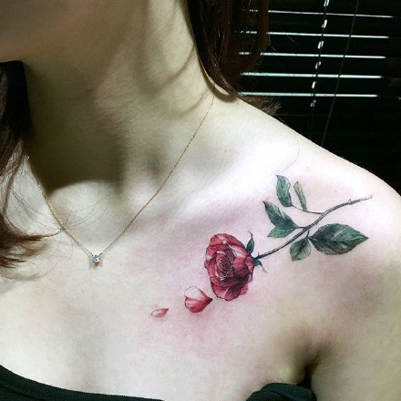 一套20张女生小清新锁骨性感纹身套图