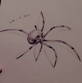 骷髅蜘蛛纹身手稿图片