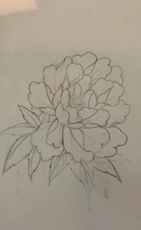 牡丹花线稿图