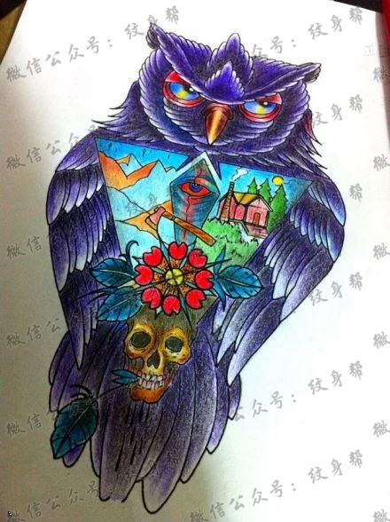 彩色猫头鹰纹身手稿图