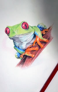 精神焕发青蛙纹身图案手稿