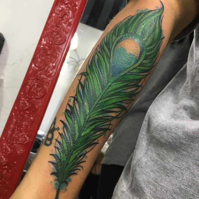 3d羽毛纹身 轻柔的彩色创意羽毛纹身图案