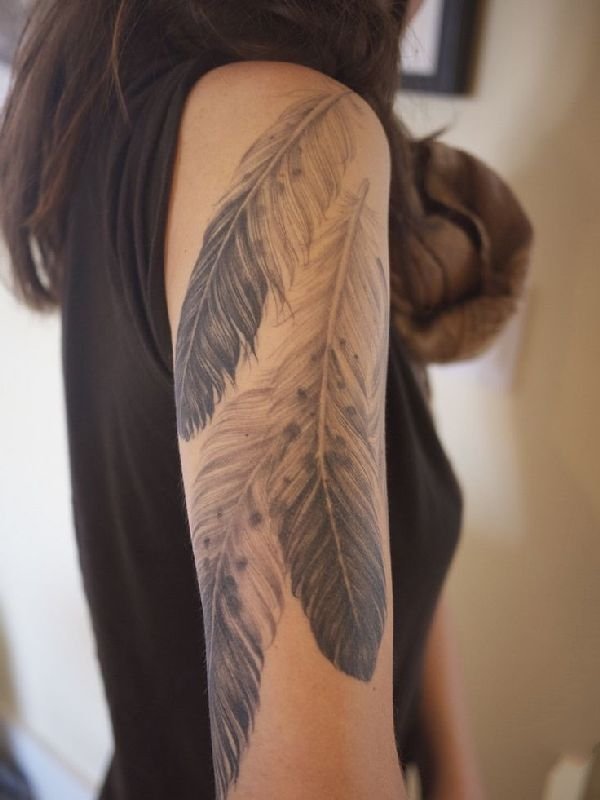 3d羽毛纹身 轻柔的彩色创意羽毛纹身图案
