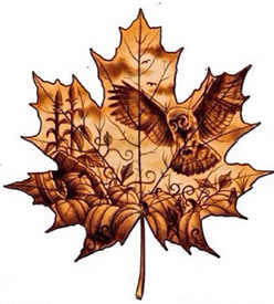 枫叶骷髅纹身手稿图片