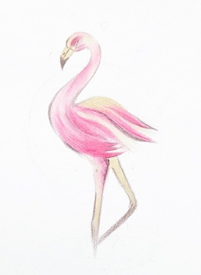 一组15张粉红色主题动物和花朵纹身手稿图案