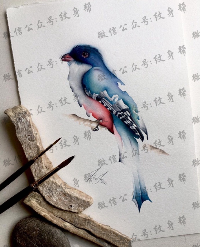 小鸟纹身手稿_10张漂亮的水彩纹身小鸟手稿图案